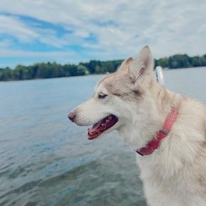 Meet your Posher, Summer